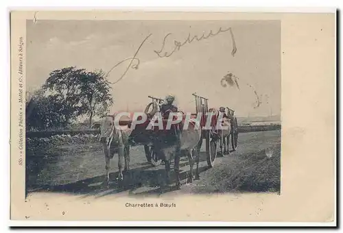 Charrettes a Boeufs Joug Cartes postales