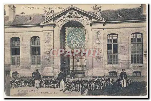 Chantilly Sortie de la meute Animation Cartes postales