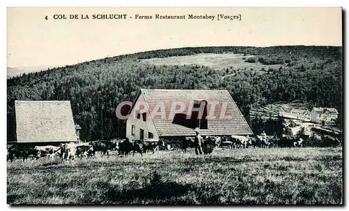 col de la Schlucht Ansichtskarte AK Ferme Restaurant Montabey (Vosges)