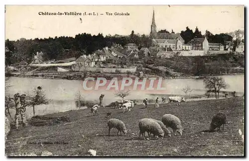 chateau la Valliere Cartes postales Vue generale (moutons)