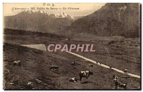 L&#39Auvergne Ansichtskarte AK Vallee du Sancy Un paturage