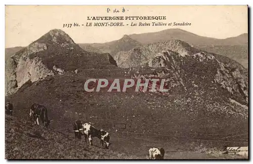 L&#39Auvergne pittoresque Ansichtskarte AK Le Mont Dore Les Roches Tuilliere et Sanadoire