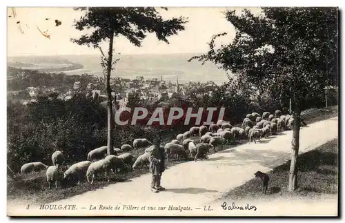 Houlgate Cartes postales La route de Villers et vue sur Houlgate (moutons)