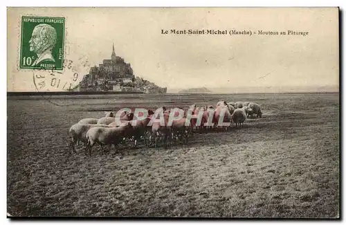 Le Mont Saint Michel Cartes postales Moutons au paturage