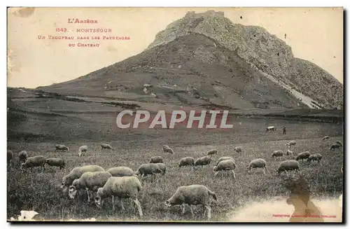 L&#39ariege Ansichtskarte AK Montsegur Un troupeau dans les paturages du chateau