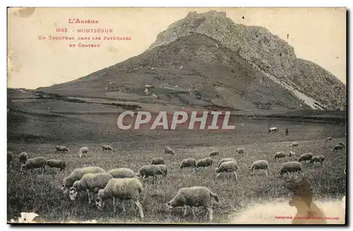 L&#39ariege Cartes postales Montsegur Un troupeau dans les paturages du chateau
