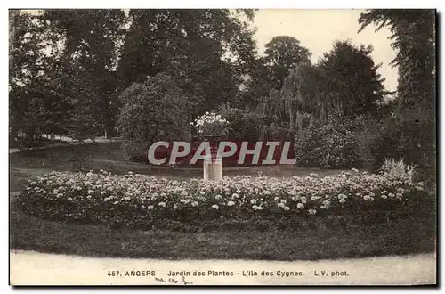 Angers Cartes postales Jardin des plantes L&#39ile des cygnes