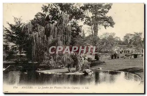 Angers Cartes postales Le Jardin des plantes L&#39ile des cygnes