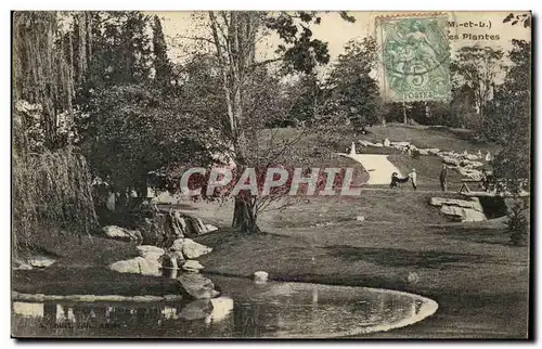 Angers Cartes postales Le Jardin des plantes