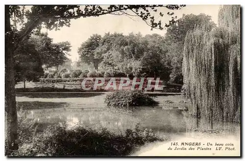 Angers Ansichtskarte AK un beau coin du Jardin des plantes