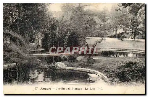 Angers Cartes postales Jardin des plantes