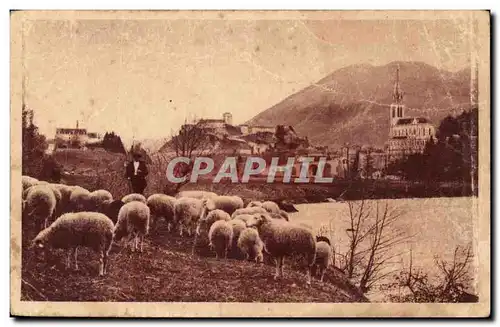 Cartes postales Lourdes Moutons