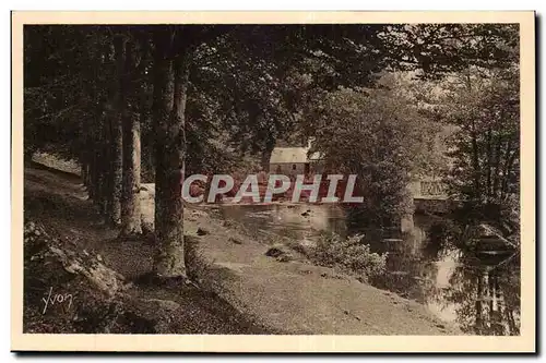 Pont Aven Cartes postales L&#39Aven au bois d&#39amour