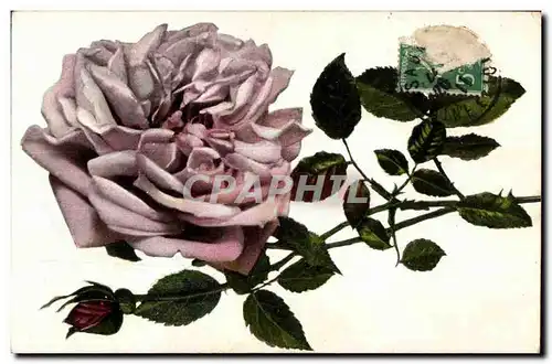 Cartes postales Fantaisie Fleurs Rose