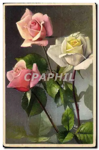 Cartes postales Fantaisie Fleur Rose