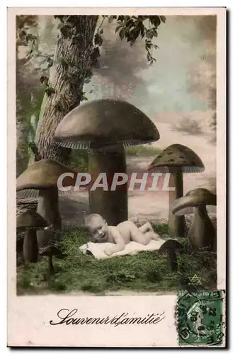 Cartes postales Fantaisie Champignon Mushrooms Bebe