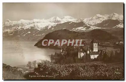 Ansichtskarte AK Suisse Spiz mit den alpen