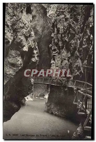 Italie - Italy - trento - trient - Les Gorges du Trient - Tete du Lion - pont en bois - Cartes postales