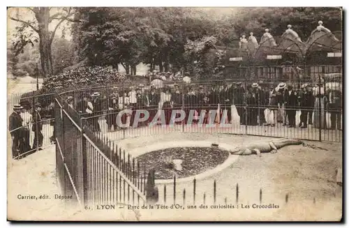 Lyon- Parc de la Tete d&#39Or une des curiosites- Les Crocodiles - Ansichtskarte AK