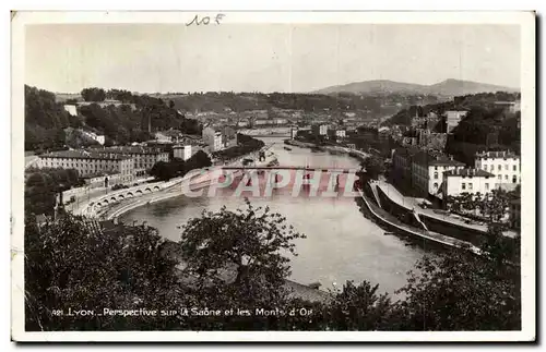 Lyon- Perspective sur la Saone et les Monts d&#39Or- Ansichtskarte AK