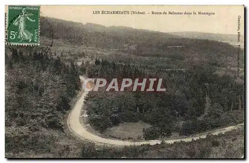 Les Echarmeaux Ansichtskarte AK Route de Belmont dans la montagne