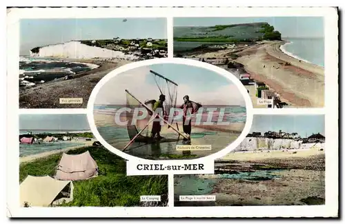 Cartes postales moderne Criel sur mer Pecheurs de crevettes