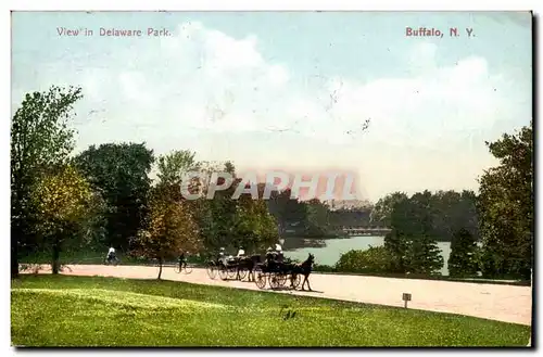 New York- View in Delaware Park- Buffalo- Ansichtskarte AK