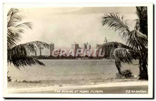 Florida- The Skyline At Miami Florida- Palm Trees- Ansichtskarte AK