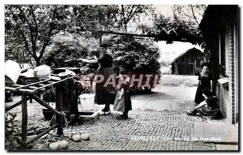 Gelderland-Nunspeet-Pay-Bays-Holland-Om en bij de boerderij -Cartes postales