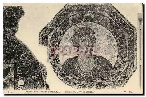 Cartes postales Algerie Ruines romaines de Timgad Mosaique Tete de Bacchus