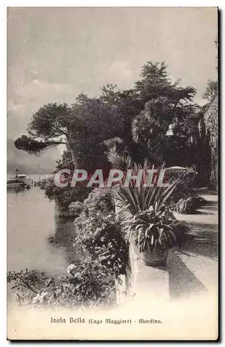 Cartes postales Italie Italia isola Bella Lago maggiore Giardino