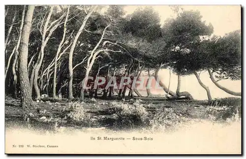 Var - Ile Sainte - Marguerite - Sous - bois - Ansichtskarte AK