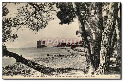 Cannes - Ile St Honorat - La Tour des moines vue prise sntre les pins - Cartes postales