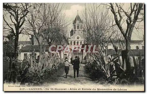 Cannes - Ile St Honorat - Alle et Entree du Monastere de Lerins - Ansichtskarte AK