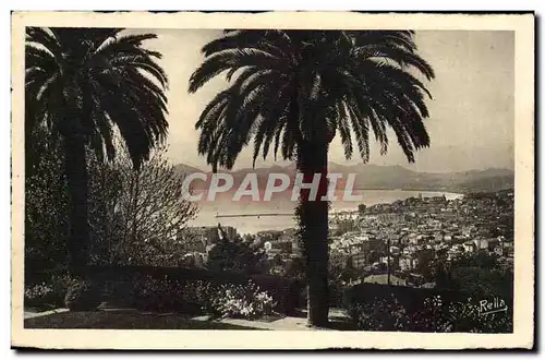 Cannes - Vue Generale - palmier - Cartes postales