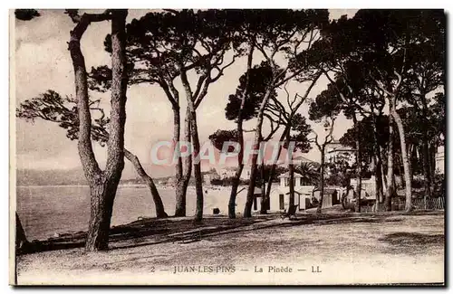 Juan les Pins - La Pinede - Cartes postales