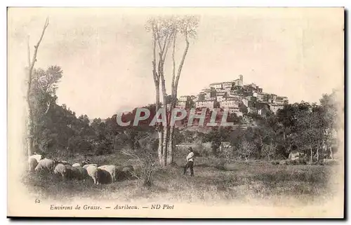 Environs de Grasse - Auribeau - moutons - Ansichtskarte AK