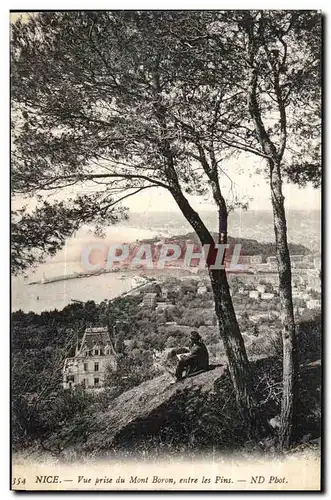 Nice Cartes postales Vue prise du Mont Boron entre les pins