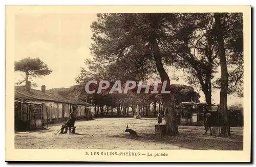 Cartes postales Les SAlins d&#39Hyeres La Pinede