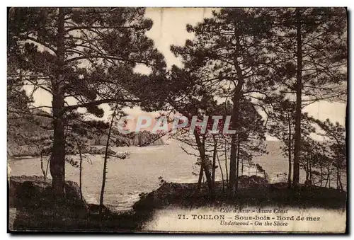 Toulon Ansichtskarte AK Sous bois Bord de mer