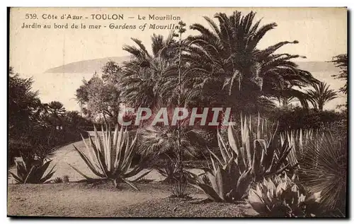 Toulon Ansichtskarte AK Le mourillon Jardin au bord de la mer