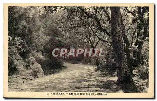 Hyeres Ansichtskarte AK Les jolis sous bois de Costebelle