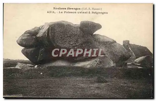 roches etranges Cartes postales Le poisson volant a Brignogan