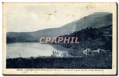 Aiguebelette Cartes postales Le lac et le port vus de l&#39hotel Bellevue