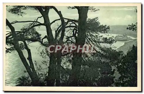 Nice Cartes postales La baie des anges a travers les pins du chateau