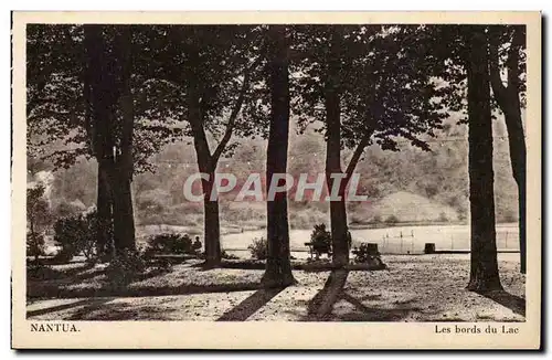 Nantua Cartes postales Les bords du lac