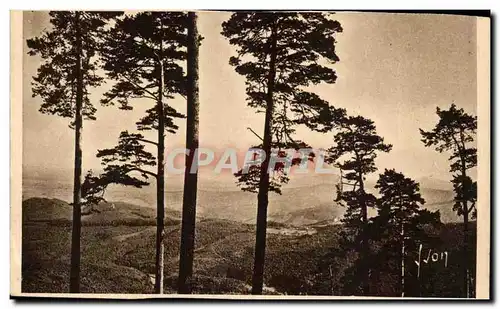 Andlau Cartes postales La foret vue du Mont Saint Odile