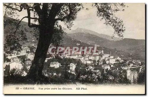 Grasse Cartes postales Vue prise entre les oliviers