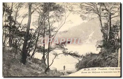 Toulon Cartes postales Cap BRun Anse de Mejean a travers les pins