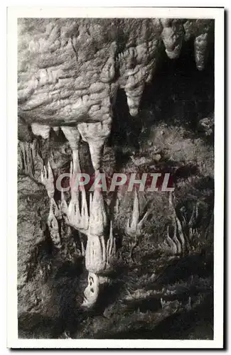 Cartes postales GRottes de Saint Cezaire pres Grasse le squelette